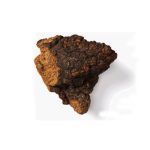 Nấm Chaga - Chống viêm, giảm đau