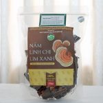 Nấm Linh Chi Lim xanh thái lát - Nâng đỡ và kiến tạo hệ thống miễn dịch